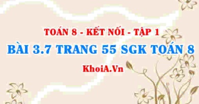 Bài 3.7 trang 55 SGK Toán 8 tập 1 Kết nối tri thức